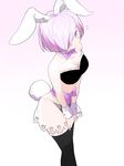  animal_ears bare_shoulders bow bowtie bra breasts bunny_ears bunny_girl bunny_tail detached_collar fake_animal_ears fate/grand_order fate_(series) flying_sweatdrops frilled_bra frills hair_over_one_eye mash_kyrielight medium_breasts neji_(ultramarinesunset) nightgown panties paw_cutout purple_eyes purple_hair see-through short_hair solo tail thighhighs underwear wrist_cuffs 