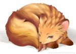  2016 canine cute fox lying mammal paws senz 
