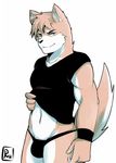  blue_eyes brown_fur bulge canine clothed clothing clothing_lift dog fur male mammal rookie_bear shirt shirt_lift simple_background solo speedo standing swimsuit t-shirt white_fur 