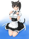  :o alternate_costume animal_ears apron black_hair blush brown_eyes cat_ears cat_tail dress highres kaga_(kantai_collection) kantai_collection leg_garter maid paw_pose rasukaru seiza side_ponytail sitting solo tail waist_apron wrist_cuffs 