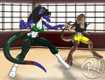  anthro anthrosaurs armpits clothing digital_media_(artwork) dinosaur dojo dragon duo female fight horn legwear martial_arts matilda_(raphael) mexicana predaguy shorts socks spandex theropod tyrannosaurus_rex yoga_pants 