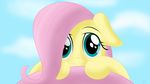  2016 blue_eyes cloud equine female feral fluttershy_(mlp) friendship_is_magic fur hair horse infinitoa looking_at_viewer mammal my_little_pony pink_hair pony portrait sky solo yellow_fur 