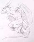  2_toes bound dragon drmax male mammal sketch sloth solo toes 
