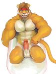  anthro balls erection feline iceman1984 lion male mammal muscular penis 
