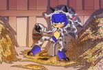  angelofhapiness anthro barn blush bucket costume erection green_eyes half-closed_eyes hay hedgehog male mammal penis precum presenting sitting smile solo sonic_(series) sonic_the_hedgehog spread_legs spreading 