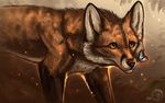  2016 amber_eyes ambiguous_gender arthropod black_nose brown_fur butterfly canine duo feral flashw fox fur hi_res insect mammal orange_fur standing whiskers white_fur 