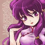  1girl biifun china_dress light_smile long_hair looking_at_viewer purple_eyes purple_hair ranma_1/2 shampoo_(ranma_1/2) simple_background solo translation_request twintails 