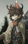  2016 5_finger anthro black_nose canine clothed clothing day detailed_background fox fur green_eyes grey_hair hair hioshiru looking_at_viewer male mammal outside scar solo tan_fur white_fur 