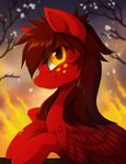  amber_eyes detailed_background equine fan_character feathered_wings feathers female feral fir fire freckles fur hair hioshiru hooves looking_at_viewer mammal my_little_pony night outside pegasus red_feathers red_fur red_hair sky smile solo wings 