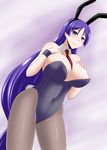  animal_ears breasts bunny_ears bunny_tail bunnysuit cleavage covered_navel fate/grand_order fate_(series) huge_breasts long_hair minamoto_no_raikou_(fate/grand_order) pantyhose purple_eyes purple_hair solo tail very_long_hair zerosu_(take_out) 
