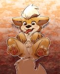  anthro anus balls cub growlithe harmarist male nintendo pok&eacute;mon solo video_games young 