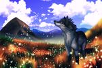  blue_sky canine cloud feral firefly grass invalid_background mammal mane sky wolf 