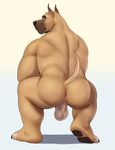 adios anthro anus backsack balls black_nose brown_fur butt canine crouching digital_media_(artwork) dog fur great_dane inviting looking_at_viewer looking_back male mammal muscular muscular_male nude perineum presenting presenting_hindquarters raised_tail rear_view smile solo spread_legs spreading 