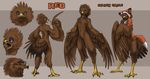  2016 ambiguous_gender anthro avian beak bird blue_eyes bottomless brown_feathers chest_tuft clothed clothing digital_media_(artwork) eagle eyewear feathered_wings feathers featureless_crotch front_view glasses looking_at_viewer nude realistic_wings rear_view reo_(reoeagle) sabretoothed_ermine solo standing surprise tail_feathers talons tuft wings 