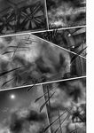  comic greyscale imizu_(nitro_unknown) monochrome moon night night_sky no_humans propeller silent_comic sky touhou translation_request zooming_out 