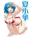  all_fours alternate_costume aono3 armpits ass bikini blue_eyes blue_hair breasts character_name eyebrows eyebrows_visible_through_hair eyes_visible_through_hair full_body hair_between_eyes hand_up hanging_breasts heterochromia large_breasts open_mouth red_bikini red_eyes shiny shiny_hair shiny_skin short_hair simple_background solo string_bikini swimsuit tatara_kogasa thick_eyebrows thighs touhou translated white_background wide_hips 