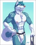  2016 abs anthro blue_fur blue_hair blue_tail border bulge canine clothing dog feralise fur gradient_background hair husky male mammal multicolored_fur multicolored_tail muscular muscular_male navel pink_nose portrait signature simple_background smile solo three-quarter_portrait underwear white_border white_fur white_tail yellow_eyes 