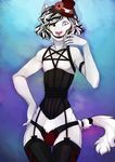 cat clothing corset feline lingerie male mammal ronnie92 tagme zazkar 