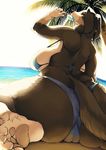  2016 anthro beach big_breasts bikini breasts butt camel_toe canine clothing female food kishibe mammal palm_tree popsicle sea seaside solo swimsuit thong tree water 