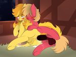  ahegao anal anal_penetration anus backsack balls big_macintosh_(mlp) blush braeburn_(mlp) cum_from_ass eyes_closed feral friendship_is_magic looking_pleasured lying my_little_pony on_side penetration penis puddle quadruped spooning tongue tongue_out v-d-k 