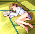  :&lt; barefoot brown_hair closed_eyes dog kuji_kanesada lying miyafuji_yoshika on_floor on_side red_liquid_(artist) school_swimsuit school_uniform serafuku short_hair sleeping solo strike_witches sunlight swimsuit swimsuit_under_clothes tatami world_witches_series 