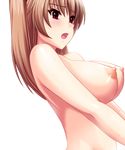  areolae atelier_kaguya ayabe_miyuki blush breasts brown_hair large_breasts nipples nude red_eyes shiny_skin sweat transparent_background 