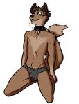 &lt;3 black_eyes brown_fur brown_hair brown_nose bulge clothing collar dipstick_tail ethriol fur hair kneeling male multicolored_tail nipples open_mouth solo tongue tongue_out tuft underwear 