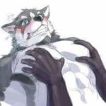  blush canine chest_fonding chest_grab male male/male mammal wolf 