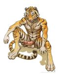  2016 anthro balls erection feline fur hair looking_at_viewer male mammal nude penis shinigamigirl simple_background solo stripes tiger tongue 