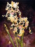  bell cowbell flower iris_(flower) plant teats udders ursula_vernon 
