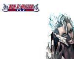  bleach grimmjow_jeagerjaques tagme white 