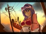  bad_id bad_pixiv_id bag blue_eyes braid bread breast_hold breasts food groceries hair_intakes kanon mature minase_akiko power_lines purple_hair solo spring_onion sunset sweater warabino_matsuri 