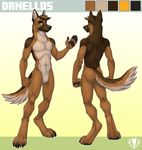  2016 5_fingers anthro black_nose brown_eyes brown_fur brown_hair butt canine claws color_swatch danellos_(artist) digital_media_(artwork) digitigrade dog featureless_crotch fist front_view fur german_shepherd gradient_background hair hi_res looking_at_viewer male mammal model_sheet multicolored_fur muscular navel nude orange_eyes pawpads paws rear_view simple_background smile solo standing tan_fur vallhund watermark waving 