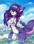  2016 anthro bikini blue_eyes blue_fur blue_hair breasts canine chest_tuft clothed clothing cloud female fox fur hair hi_res inner_ear_fluff long_hair longdanger looking_at_viewer lucia mammal markings multicolored_fur navel open_mouth outside partially_submerged sky solo swimsuit teeth tongue tuft two_tone_fur water white_fur 