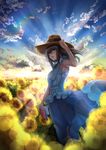  armpits black_hair blue_eyes book breasts cloud cloudy_sky dress field flower flower_field highres horizon idolmaster idolmaster_cinderella_girls large_breasts light_rays long_hair looking_back nohito open_mouth sagisawa_fumika sky smile solo sunflower 