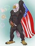  anthro armpit_hair avian badcoyote bald_eagle balls bird eagle fan_edit feathers flag humanoid_penis looking_at_viewer nipples penis pubes 