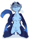  &lt;3 2015 blue_fur blue_hair blue_nipples blue_nose blue_pussy breasts cat chest_tuft dipstick_tail ethriol feline female fur hair mammal markings multicolored_tail nipples pubes pussy socks_(marking) solo tuft 