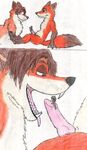  anthro canine disney erection fellatio fox gideon macro male male/male mammal micro nick_wilde oral penis sex tongue vore zootopia 