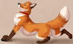  2016 animal_genitalia backsack balls canine collar feral fox fur male mammal marjani pawpads sheath simple_background solo 