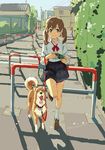  bow brown_hair camera chikaoka_sunao commentary_request dog dog_walking green_eyes highres loafers original ribbon school_uniform shiba_inu shoes solo twintails uniform white_legwear 