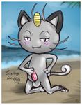  2016 alolan_meowth animal_genitalia balls beach blush cat coin digital_media_(artwork) erection feline feral fur grey_fur looking_at_viewer male mammal meowth nintendo penis pok&eacute;mon seaside solo video_games whiskers zekromlover 