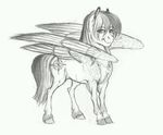  cutie_mark daring_do_(mlp) earthsong9405 equine feathered_wings feathers female feral friendship_is_magic fur greyscale hair hooves looking_at_viewer mammal monochrome my_little_pony pegasus simple_background sketch smile solo standing traditional_media_(artwork) white_background wings 