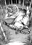  ameyamadenshin anus censored feline female feral greyscale hair japanese_text mammal monochrome pawpads pussy solo text tiger translation_request 
