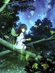  absurdres black_eyes black_hair braid forest hairband highres houkago_no_pleiades itsuki_(houkago_no_pleiades) leaf long_hair nature night night_sky official_art sky solo star_(sky) thighhighs tree 