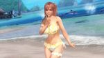  1girl 3d beach breasts dead_or_alive dead_or_alive_5 dolphin honoka_(doa) large_breasts ocean official_art pink_hair solo swimsuit tecmo 