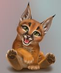  caracal cub delkon feline feral front_view looking_at_viewer mammal open_mouth pawpads sharp_teeth sitting smile spread_legs spreading teeth whiskers young 