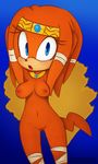  anthro areola big_breasts breasts cummysonic echidna erect_nipples female hearlesssoul hi_res mammal monotreme nipples nude pussy solo sonic_(series) tikal_the_echidna 