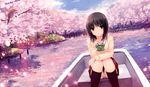  animal aoyama_sumika bird black_eyes black_hair blush bow cherry_blossoms coffee-kizoku original panties petals photoshop scan seifuku sky socks underwear water 