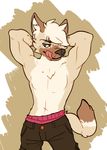  black_nose blue_eyes brown_fur canine clothed clothing dog fur male mammal navel onion-cat-confirmed shorts simple_background solo tongue tongue_out topless waistband 