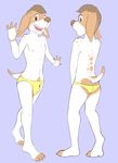  2016 baegle beagle brown_eyes brown_hair brown_nose bulge canine claws clothing dog fur girly hair male mammal model_sheet morhlis multicolored_fur nipples panties simple_background solo spots tan_fur two_tone_fur underwear white_fur 